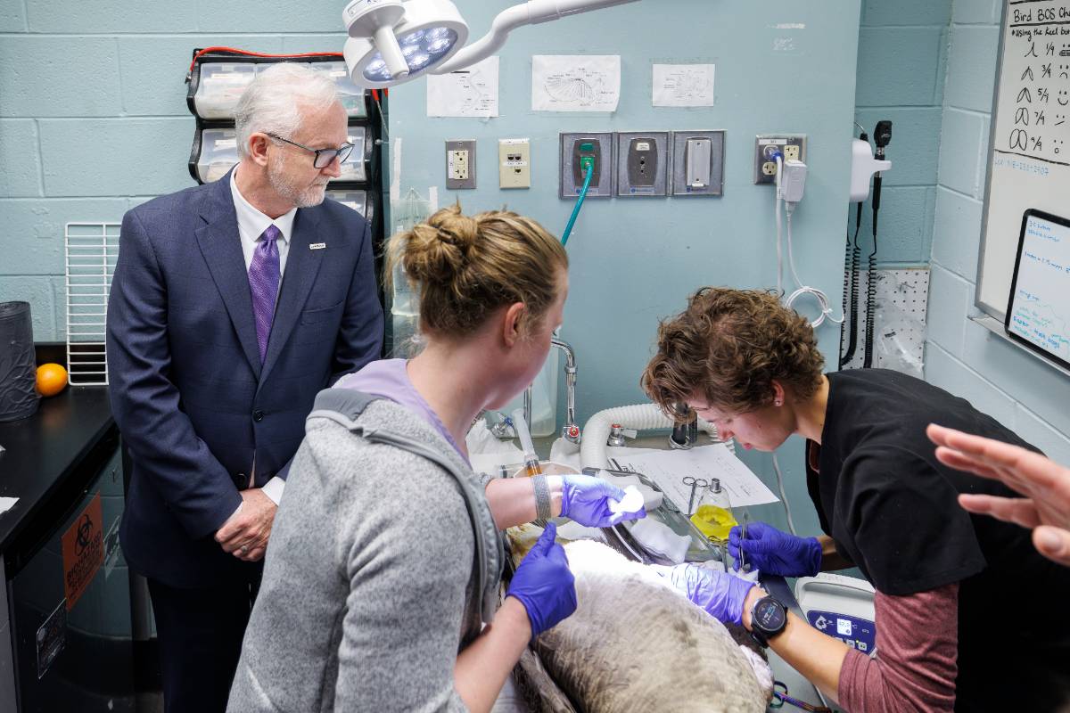 Dalton in LSU Vet Med Lab 