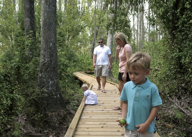 forest learning trail 