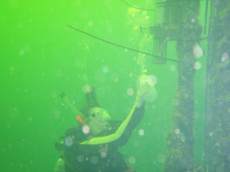 a scuba diver collecting water samples