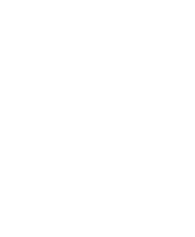 A Year of Milestones and Momentum