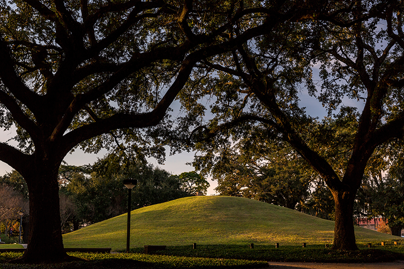 Photo of the LSU Campus Mounds.