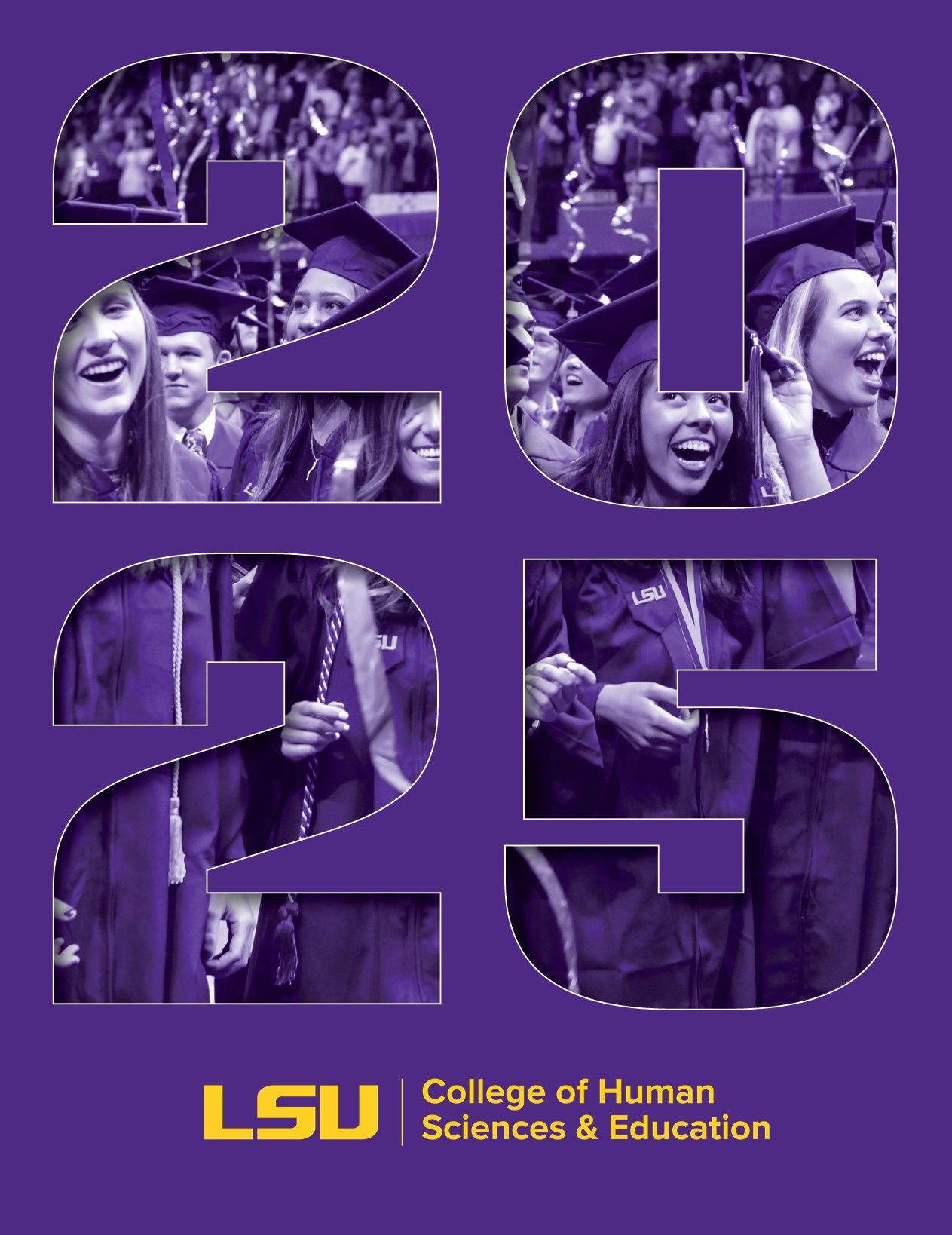 cover of CHSE annual report