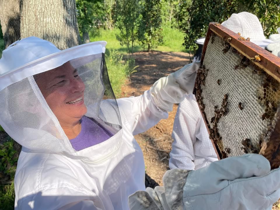 katherine gividen handling bees
