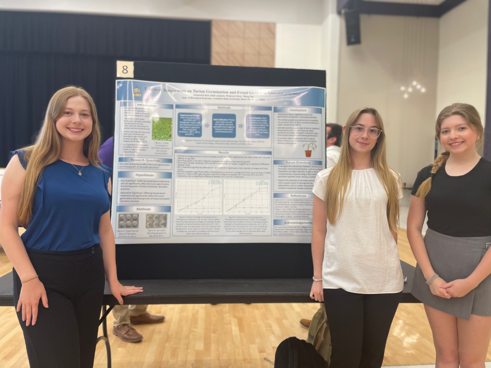 TOP DUCKWEED AlexandraRowe KateLanglios RhiannonNice