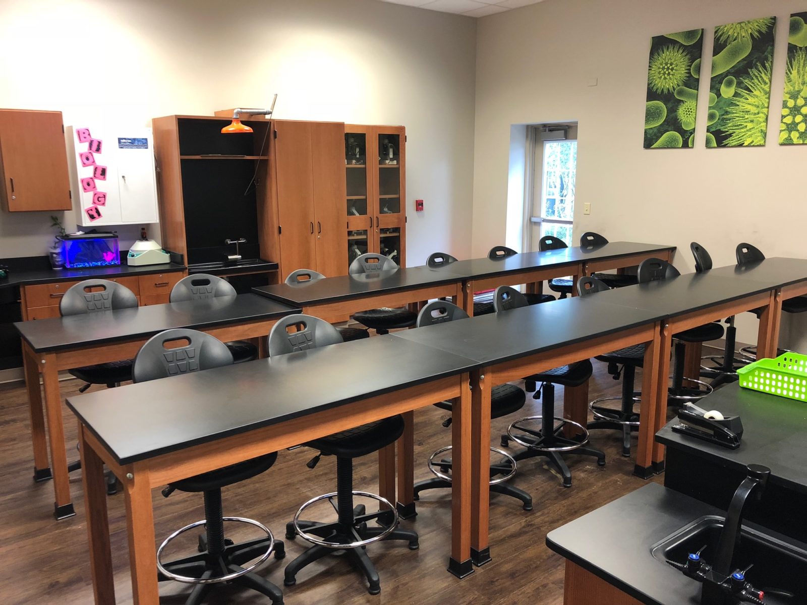 Shelby's Biology Lab Classroom